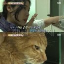 현씨농장 이미지