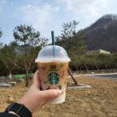 더리터소양점