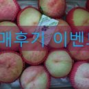 초아농원 이미지