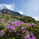 한라산풍경 이미지