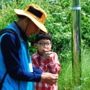 신창초병설 이미지