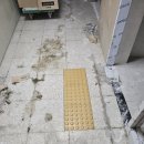 신도초등학교 이미지