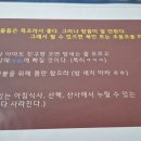 이루다스테이 이미지