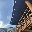 전주 이르리 카페 후기☕ 한옥 뷰+에어컨 방+빙수까지 다 가진 곳!