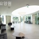 힘찬요양원 네이버블로그