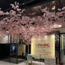 NU PC방 이미지