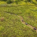 오션브리즈 이미지