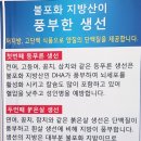 어상궁 이미지