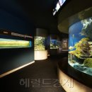 씨월드수족관 이미지