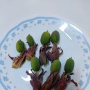 열매이야기 이미지