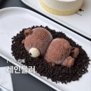 레인블러