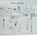 낚시 상식 - 붕어낚시 상식의 虛와 實(특정채비가(목줄+봉돌+바늘) 갖는 입질차이) 이미지