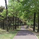 수원올림픽공원 인근 이미지