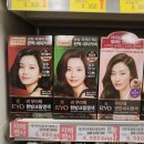 대보마트 이미지