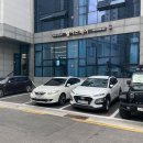 청주 모충동 미용실 펠라즈헤어 서원대 근처 염색잘하는곳