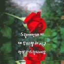 5월 이미지