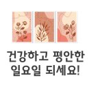 양월약국 이미지