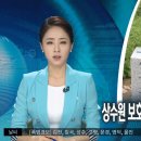 대구MBC 아나운서 클라스 이미지