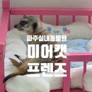 심쿵존 | 파주 동물 체험 '미어캣프렌즈'에서 제대로 심쿵하고 온 찐 후기