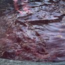 백암스파월드 이미지