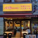 일산 정발산 웨스턴돔 야끼니꾸 후기 : 야끼니꾸소량 일산웨스턴돔점