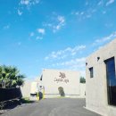 실론제주 이미지