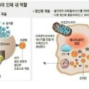 웰스코리아 이미지