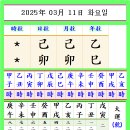 기묘4