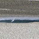 지천보건진료소 이미지