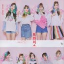 CeCi 카카오 검색결과