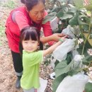 석호농원 이미지