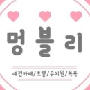 멍블리 애견카페 이미지