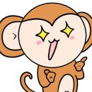 빵드모렐라 이미지