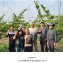 치악산농장 | 고도농장 치악산 복숭아, 딱딱이 복숭아, 선물용 복숭아 추천!