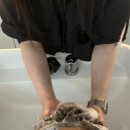 전주북대미용실 오아세헤어 전북대점 다다디자이너, 허쉬펌 대만족 후기