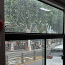 [wedding 16.] 우당탕탕 신혼집 구하기 (1) 청년허그버팀목전세대출 후기 - 전세 계약, 확정일자신고
