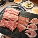 거북이동네사상점 이미지