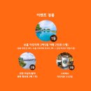 온필 이미지