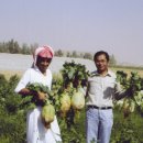 영동농장 이미지