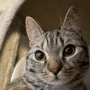 딜라이트 | [야외 웨딩스냅 후기] 프롬 딜라이트 후기 총 비용 (인천 서울 촬영)