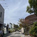 국립현대미술관 데이미언 허스트 평일 예매 관람 후기 비주얼캔디