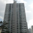 분당-209 이미지