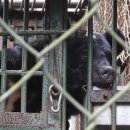 웅담2농장 이미지