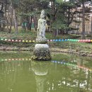 관음사 티스토리