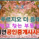 오지연공인중개사사무소 이미지