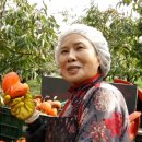 종현농장 이미지