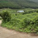 회성동103 이미지