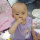 보경 이미지