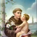 2023년 6월 13일 파도바의 성 안토니오 사제 학자 기념일 이미지