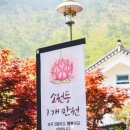 와룡산청룡사앞 이미지